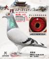 图片暂时未上传