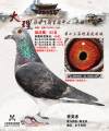 图片暂时未上传