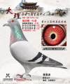图片暂时未上传