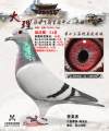 图片暂时未上传