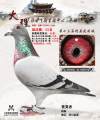 图片暂时未上传