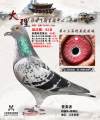 图片暂时未上传
