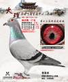 图片暂时未上传