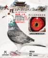 图片暂时未上传