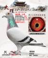 图片暂时未上传