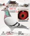 图片暂时未上传