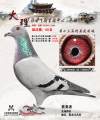 图片暂时未上传