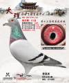 图片暂时未上传