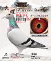 图片暂时未上传