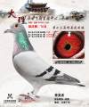 图片暂时未上传