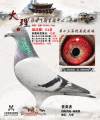 图片暂时未上传