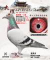 图片暂时未上传