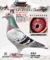 图片暂时未上传