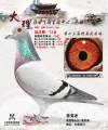 图片暂时未上传