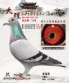 图片暂时未上传