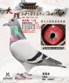 图片暂时未上传