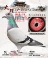 图片暂时未上传