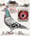 图片暂时未上传