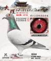 图片暂时未上传