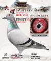 图片暂时未上传