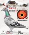 图片暂时未上传