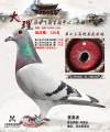 图片暂时未上传