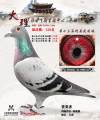 图片暂时未上传