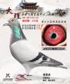 图片暂时未上传
