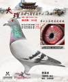图片暂时未上传