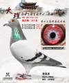图片暂时未上传