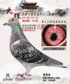 图片暂时未上传