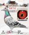 图片暂时未上传