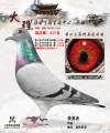 图片暂时未上传