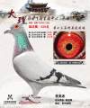 图片暂时未上传