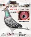 图片暂时未上传