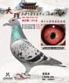 图片暂时未上传