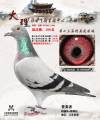 图片暂时未上传