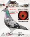 图片暂时未上传