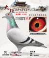 图片暂时未上传