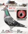 图片暂时未上传