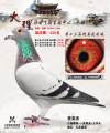 图片暂时未上传