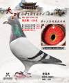 图片暂时未上传