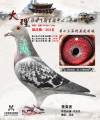 图片暂时未上传