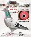 图片暂时未上传