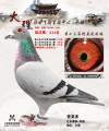 图片暂时未上传
