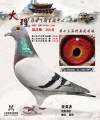 图片暂时未上传