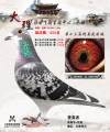 图片暂时未上传