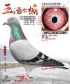 图片暂时未上传