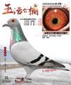 图片暂时未上传