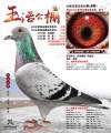 图片暂时未上传